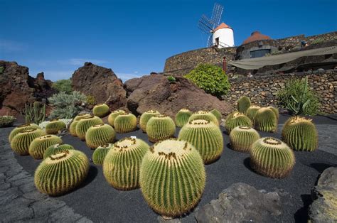 Lanzarote : une île volcanique aux plages de rêve