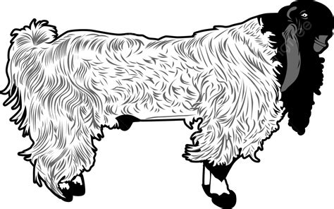 Gambar Logo Kambing Png Vektor Psd Dan Clipart Dengan - vrogue.co