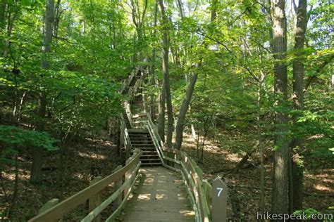 Dune Succession Trail | Indiana Dunes National Park | Hikespeak.com