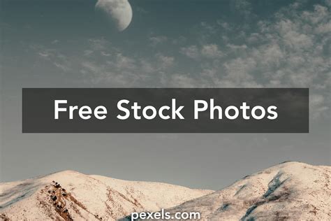 250+ Interesting Copyright Free Photos Pexels · Free Stock Photos