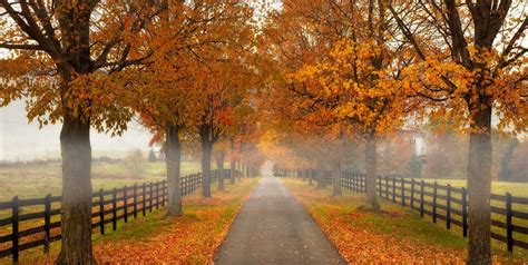 63 Fall Season Quotes - Best Sayings About Autumn