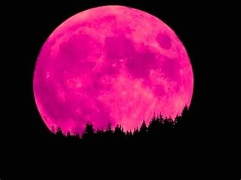 Ritual for April's Full Pink Moon - Manifesting Your Dreams