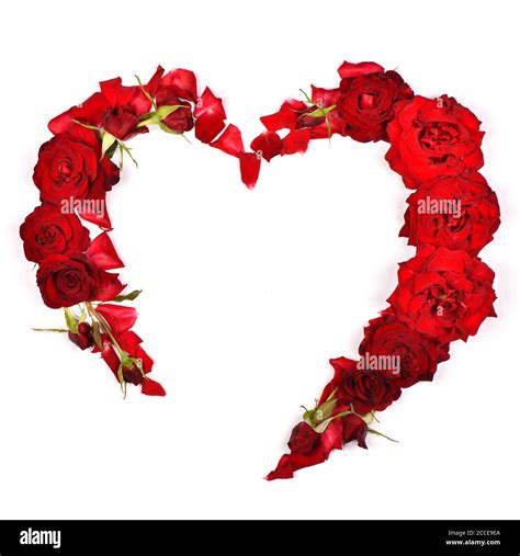 Beautiful red rose flowers set out in the form of heart. Isolated on ...