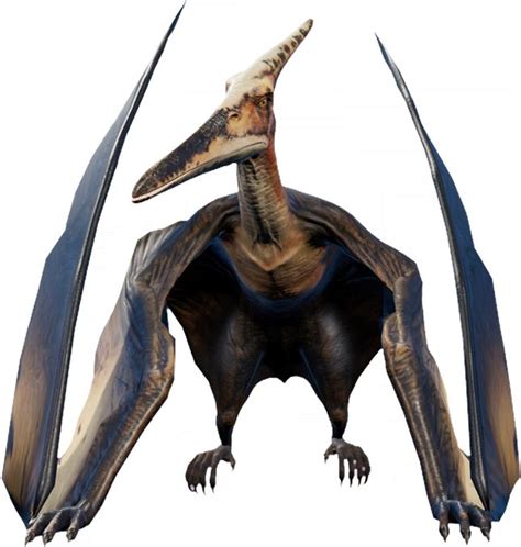 Pteranodon | Jurassic World Evolution Wiki | Fandom | Dinosaur images, Dinosaur pictures ...