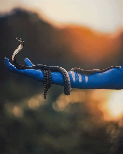 Blue Hand with Snake and Sunset