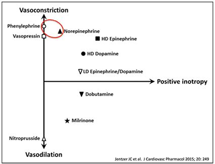 Inotropes, vasopressors and other vasoactive agents • LITFL • CCC