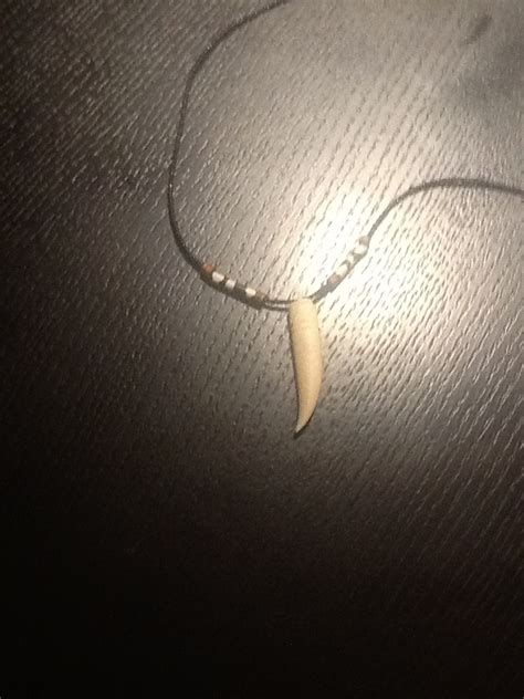 Massai lion tooth necklace!