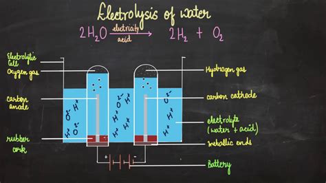 Electrolysis of water | Chemical reactions and Equations | LabTurtle - YouTube