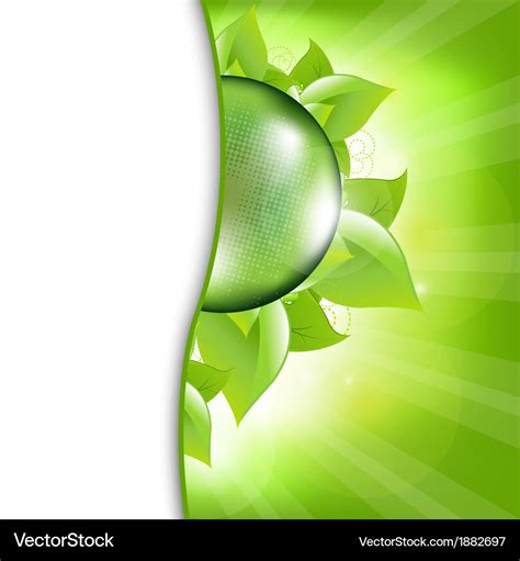 Green eco background with leafs and globe Vector Image