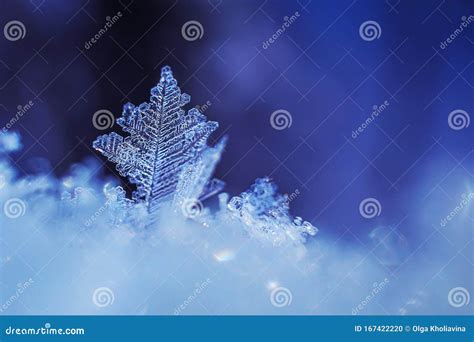 Snowflakes Close-up. Macro Photo Stock Photo - Image of single, snow: 167422220