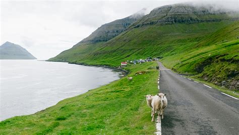 A Music Playlist for your Faroe Islands Road Trip — And Then I Met Yoko | Visual Travel Guides