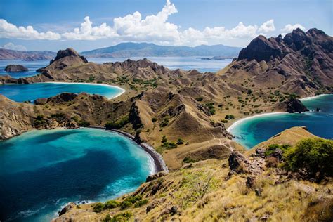 Wisata Taman Nasional Komodo, Keajaiban Dunia di Pesisir NTT