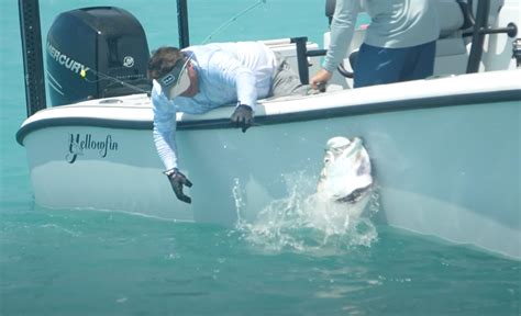 Video: Tarpon 101 - Orvis News