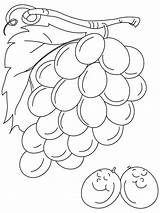 Grape coloring Pages sketch template