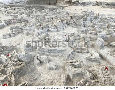 4,860 Fossil Bed Images, Stock Photos, 3D objects, & Vectors | Shutterstock