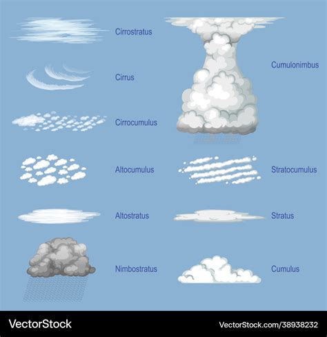 Different types clouds with names Royalty Free Vector Image