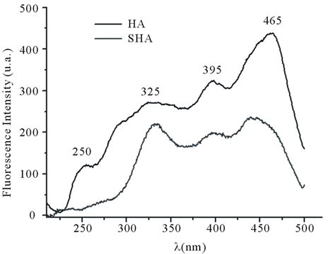 Study of a Model Humic Acid-type Polymer by Fluorescence Spectroscopy and Atomic Force Microscopy