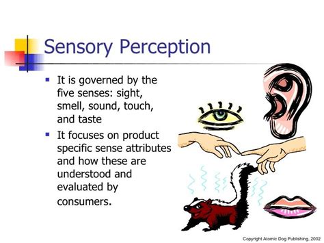 Memory, Learning & Perception | Cognitive psychology, Teaching ...