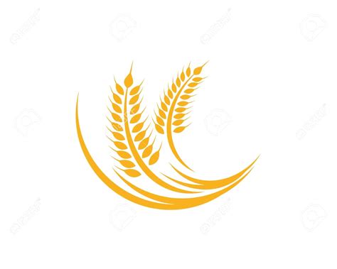 Wheat Vector Png at GetDrawings | Free download