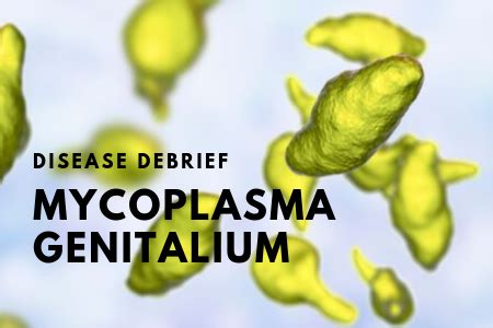 Mycoplasma genitalium – National Collaborating Centre for Infectious ...