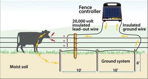 Ground Rod Installation | Grounding Electric Fence | Zareba®