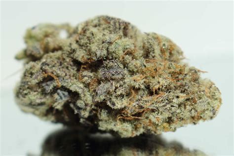 MAC 1 Strain Review - The Lodge Cannabis Denver