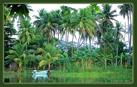 Puerto Rico Nature Photo Gallery – Ed Hoppe Photography