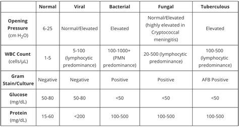 Lumbar Puncture Anticoagulation Guidelines