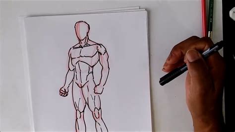 Divine Info About How To Draw Male Anatomy - Airportprize