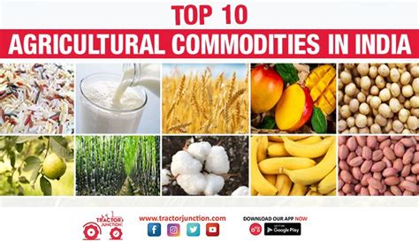 Top 10 Agricultural Commodities in India - List of Agro Commodities!