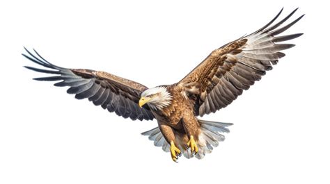 Premium AI Image | A bald eagle with a yellow beak flies in the air.