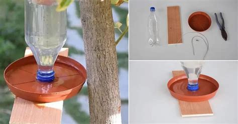 How to Make Hanging Bird Water Feeder | DIY Water Bottle Bird Feeder