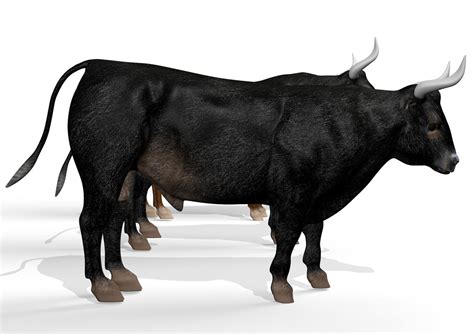 Rigged bull animation 3D model - TurboSquid 1398389