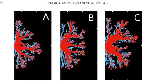 influence of the pressure gradient. (B) is the same as Fig. 7 (E). (A ...