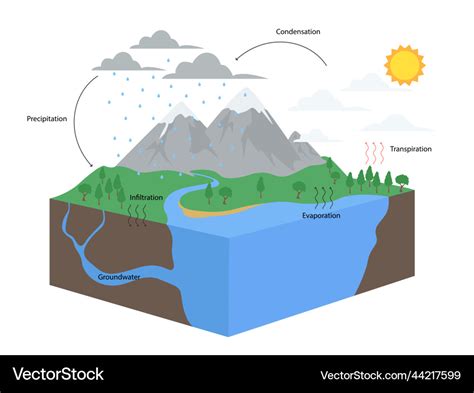 Groundwater Cycle Diagram