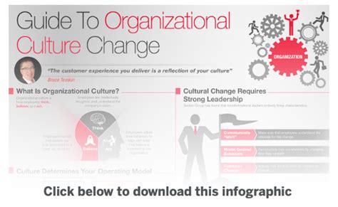 Infographic: Guide to Organizational Culture Change | XM Institute