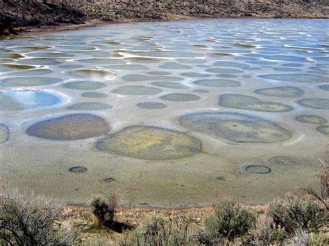 The Spotted Lake of Osoyoos ~ Kuriositas