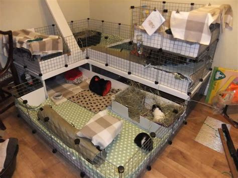 LA chambre de cochon d'inde par excellence! :D | Pets knowledge and ...