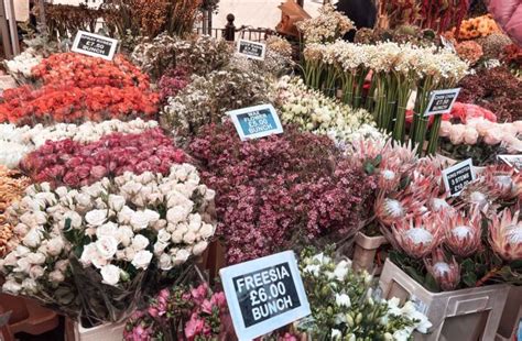 Columbia Road Flower Market: Complete Guide To Visiting London's Famous ...