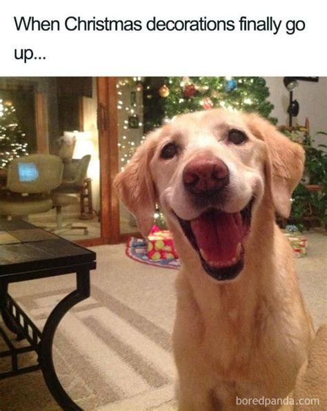 It’s The Christmas Meme Season! (50 pics) - Izismile.com