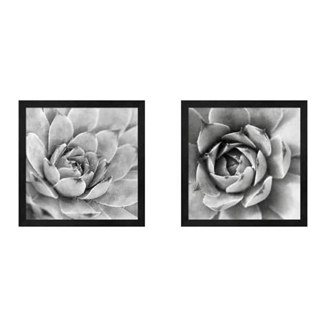 Metaverse Laura Marshall 'Garden Succulent' Framed Art (Set of 2 ...