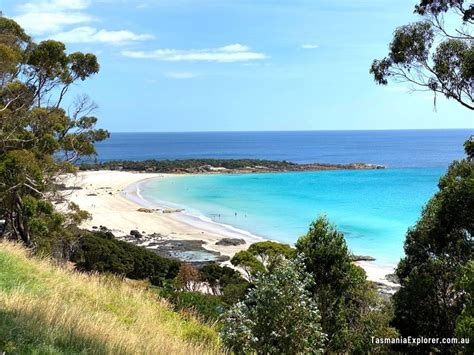 Boat Harbour Beach Tasmania: Road Trip Stop