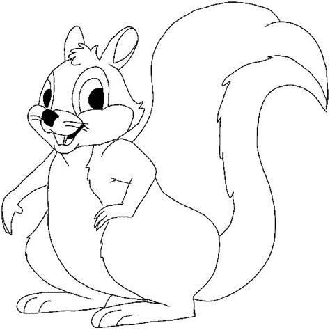 squirrel drawing - Поиск в Google | Animal coloring pages, Squirrel coloring page, Coloring pages