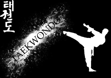 🔥 [77+] Taekwondo Wallpapers | WallpaperSafari