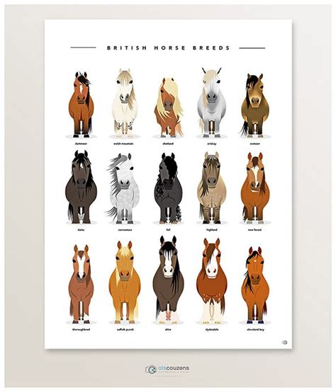 Horse Breeds Print - British Horse Art Print | Horse breeds, Horse art ...