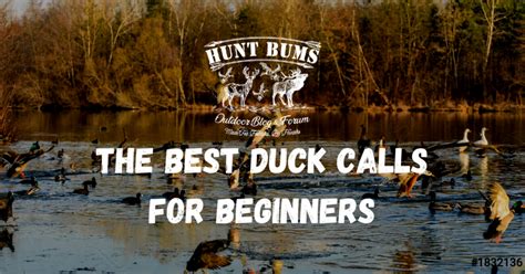 The 5 Best Duck Calls For Beginners - Hunt Bums