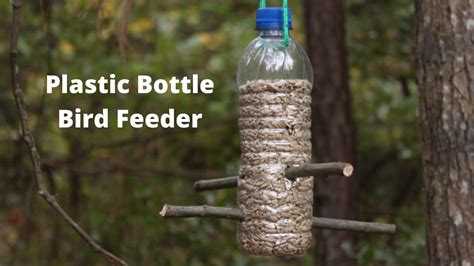 Plastic Bottle Bird Feeder – starkidslearn.com