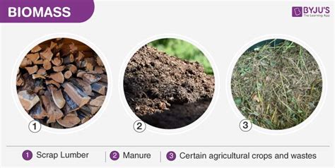 Biomass- Types, Uses, Merits and Demerits of Biomass