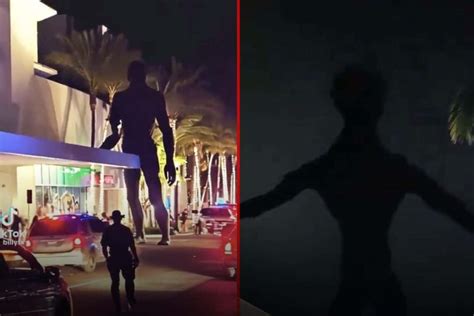 Miami mall alien sighting was a hoax, police confirm - Swisher Post