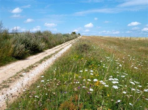 Cycling the Ridgeway Trail, Oxfordshire, Berkshire, Wiltshire